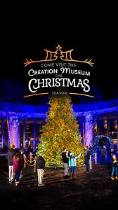 The colorful lights are just one of the spectacular things you can expect to see at the Creation Museum this Christmas season! | Creation Museum
