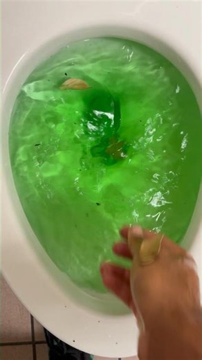 American standard cadet 3 toilet siphoning out with green/blue/yellow water!!!