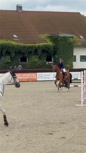 Origami Bear Tutorial for Beginners