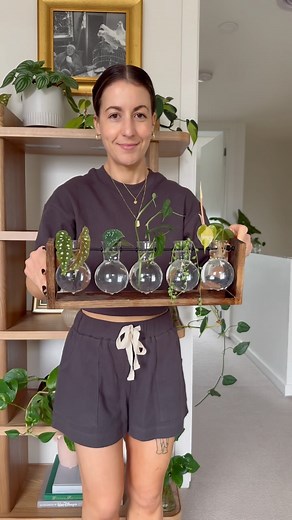 ❤️🌿Setting up a Plant Propagation Station with Philodendron Brasil, Begonia, Scindapsus, Monstera Siltepecana and String of Pearls! #Plants If you’re looking for more details I cover the below in my longer tut! - How to set up your glass vessels for the perfect propagation setup. - Differences in propagation requirements for each plant type. - How to avoid common mistakes, like over-submerging cuttings. - And tips for preventing algae growth Who wants the longer tut? 🌿✂️🌿✂️ This is your sign