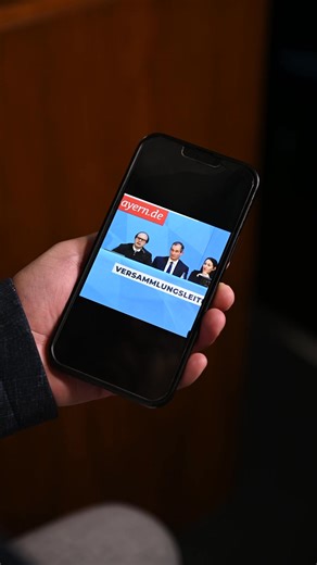 Die AfD versinkt im Chaos - der Parteitag in Bayern war geprägt von Buh-Rufen, Geschrei und völligem Kontrollverlust. Die AfD ist keine Alternative, sondern eine irre Chaos-Truppe. | Martin Huber