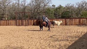 Huge thank you to Phil Hanson and Jake Hanson for letting me come work some horses this morning! Lots of fun and tons of knowledge coming out of that camp! | Austin Keys Cutting Horses