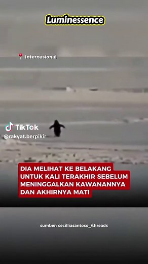 penguin dikenal sebagai hewan yang hidup berkelompok. ini merupakan cara bertahan hidup baik dari kondisi alam ekstrem sampai predator. penguin saling menjaga, melindungi dan bergantian mendukung formasi belakang agar tetap hangat, utamanya saat badai salju berlangsung. apabila dirinya sakit, terluka, dan merasa ada yang tidak beres dengan kesehatannya, ia akan menjauh dari kawanannya. dari video tersebut, itu merupakan saat saat terakhir sebelum si penguin mati. Sedih, tapi begitulah cara alam 