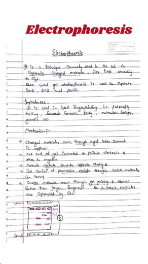 Electrophoresis | Electrophoresis Biochemistry #csirnet #msczoology