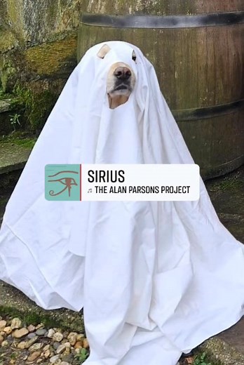 Andrea Parodi on Reels