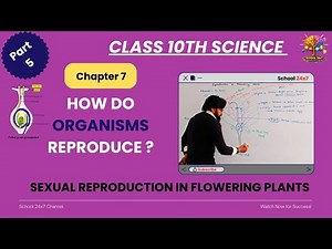 Sexual Reproduction in Flowering Plants|Class 10 Science Ch 7|NCERT Explained #reproduction #science