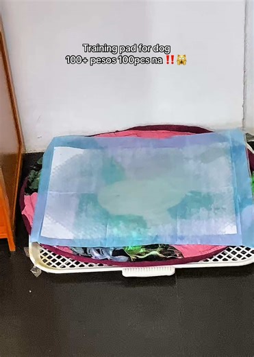 Effective Training Pads for Dogs: Guide