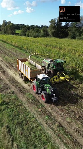 Innovative Farming Techniques for Corn Production