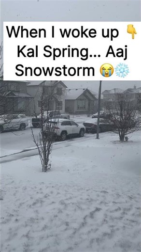 Calgary Weather Be Like: Kal Spring… Aaj Snowstorm! ❄️😂
