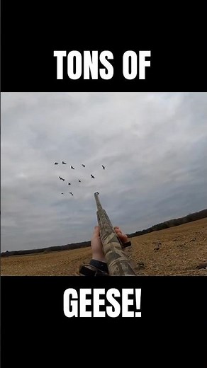 GOOSE HUNTING RAINOUT! | WATERFOWL HUNTING | #duckhunting #waterfowl #hunting #kentcartridge