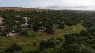 7.3K views · 131 reactions | Discover the magic of Africa with WildEarth Travel! From exhilarating big cat safaris to soul-connecting jungle treks with gorillas, we can turn your nature connection bucket list into reality. Don't just dream—live! We are waiting to connect you with nature. #Wildearth #Travel #BucketListAdventures | Wildearth | Facebook