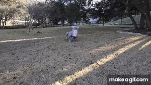 Making a Dog-Sized Furby Robot (and taking it on a walk) on Make a GIF