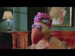 Follow That Bird: A Meeting of the Feathered Friends