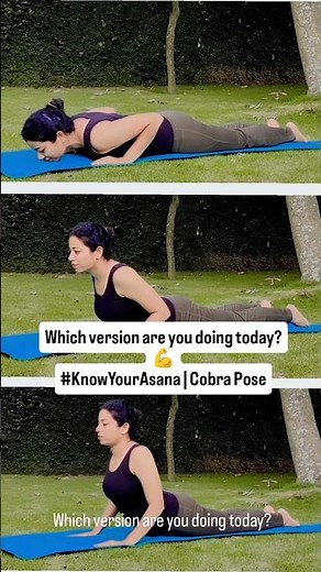 Cobra Pose (Bhujangasana) – 3 Versions for a Strong & Flexible Back | Know Your Asana