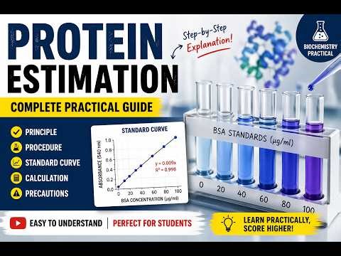 Protein estimation