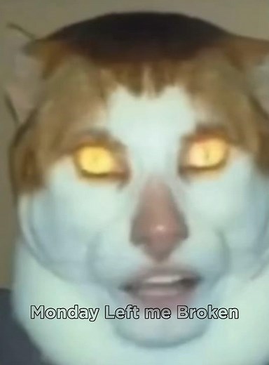 monday left me broken lyrics 😭🔥💀