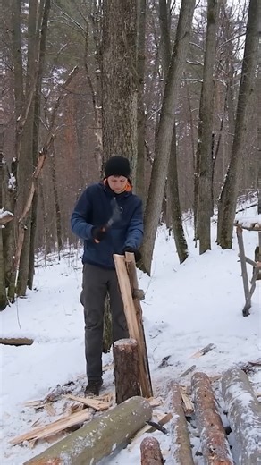 My new forest project | Forest Paths