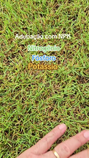 Adubação com NPK em campo de futebol #hidrossemeadura #campodefutebol #futebol #amigos #gramado