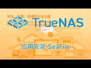 TrueNAS SCALE 应用安装seafile并开启HTTPS