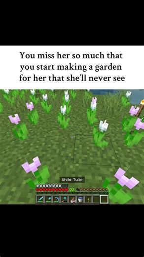 Minecraft Flower Garden Build for Girlfriend