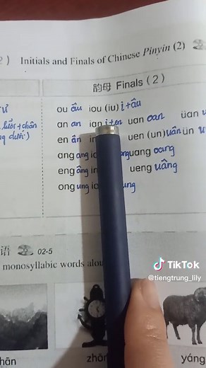 Bài 2: Thanh mẫu và Vận mẫu (2) trong tiếng trung #tiengtrunggiaotiep #tiengtrung #tiengtrunglily