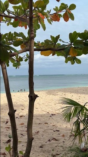 Alegria Beach Resort santa Monica Siargao 🏝️ #siargao2026