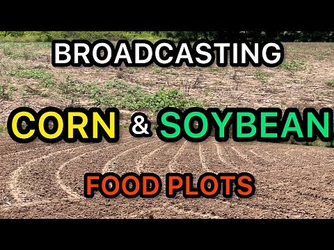 BROADCASTING A CORN & SOYBEAN FOOD PLOT FOR DEER HUNTING