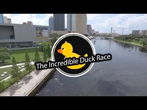The Incredible Duck Race