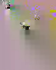 The actress bargained with tow truck drivers as they hauled her illegally parked blue motor onto a flatbed in Stratford upon Avon yesterday. | The Sun