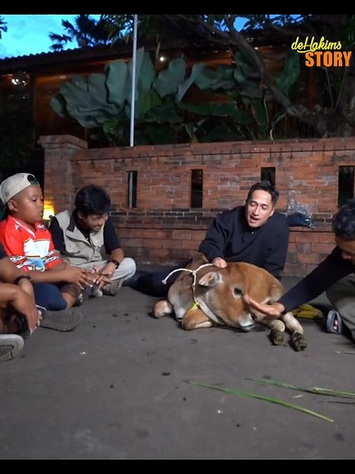 Jenis sapi terbarukah? Pakar sapi aja bingung genetik macam apa yang cocok dengan sapi unik ini! Kepo banget ibu bapaknya dari jenis apa #irfanhakim #dehakims #sapi #sapiviral #sapilucu #calf #cows #fypchallenge #untuksemuaorang #ternaksapi #farmlife #faktamenarik #taukahkamu #Alhamdulillah | Irfan Hakim