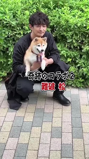 奇跡のコラボ2🌈 超レアショットをお届けします‼️ まちゅもとても嬉しそう🥱🐶 #フジテレビ #ナンバMG5 #間宮祥太朗 #難破松 #まちゅ #津田健次郎 #奇跡のコラボ