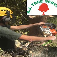 RJ Tree Services, Surbiton | Tree Surgeons - Yell