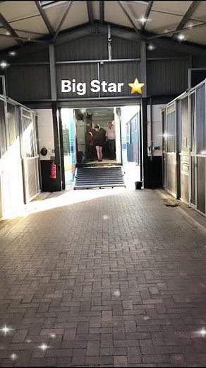 Stallion AI Services on Reels