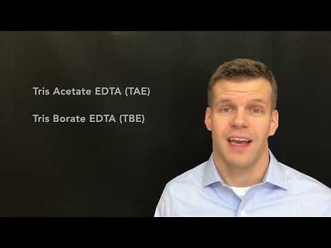 Gel Electrophoresis Buffers for Nucleic Acids