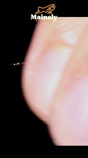 These Maggots WERE BANNED!?! This fly only uses two household materials! It’s a great tie for a beginner and work well at catching all species of fish form trout, crappie, salmon, to bass. Well worth a try! Want to try this file but don't tie? Visit my website here! Fly Shop: https://www.mainely-outdoors.com/flies Custom Orders (If what you want is out of stock): https://www.mainely-outdoors.com/custom-fly-orders See these flies in action on my other channel - @MainelyOutDoors ​ #fishing #fishin