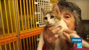 Pet adoption in times of lockdown: Spotlight on the challenges in France