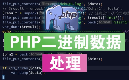 PHP处理二进制数据