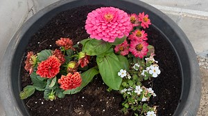 Early Week Pollen Problems: Counts High as Temps Rise