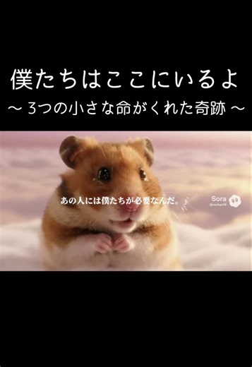 ハムスターたちとの感動的な物語