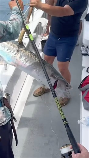 Huge king mackerel! #fishing #charterfishing #kingmackerel #vlog