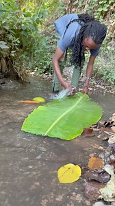 Life in nature - personal life | Musa Herry