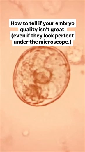🧬 How to tell if your embryo quality isn’t great — even when they look perfect under the microscope. This might surprise you… but embryo quality can be poor even when your doctor says they look “perfect.” Here are a few clues that hint your embryos might be struggling: 👇 1️⃣ Less than 50% of your eggs fertilise. ➡️ That often signals egg mitochondrial or sperm oxidative stress. 2️⃣ Embryos keep arresting by day 3–5. ➡️ Means the cells run out of energy during early development. 3️⃣ Repeated im