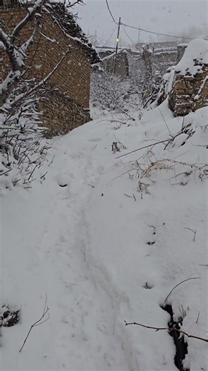 Ibrahem Ahmad | ‎#سرۆشتی_كوردستان #باڵەکایەتی #نیشتیمانی_جوان #گوندی_سەکران_باڵەکایەتی...‎ | Instagram