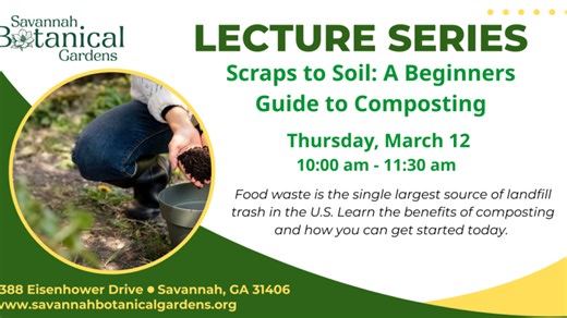 Scraps to Soil: A beginners Guide to Composting
