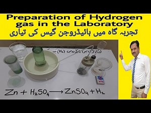 Preparation of Hydrogen gas in the laboratory(Practical) by Muhammad Saleem