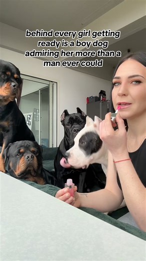 🥹🥹🥹 dogs are the best 🥹 #dogs #puppy #rottweiler #dogoargentino #canecorso | Gangrottie