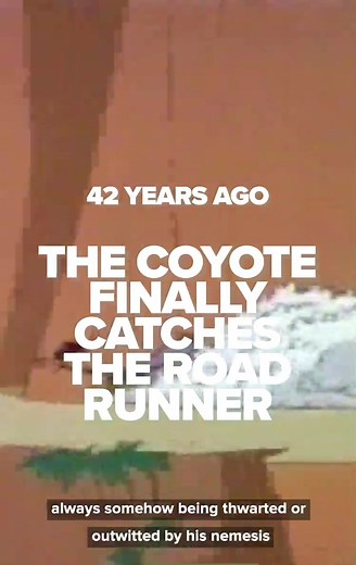 Coyote Finally Catches Road Runner: A Surprising Twist from 42 Years Ago