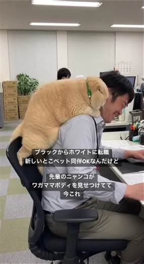 マジでナイスバディすぎる🥺仕事にならなくて困ってた笑 重くないんですかね？ #転職したい #転職 #転職活動 #ホワイト企業