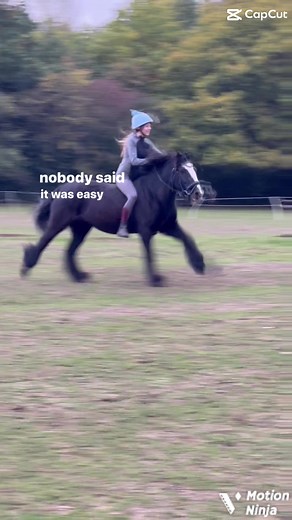 #viral #blowthisup #goviral #horse #blowup #viralvideo #horses