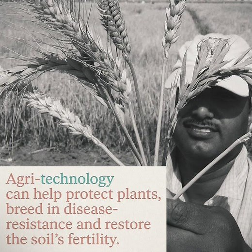 "You can't build peace on empty stomachs." Norman Borlaug, 1970 Nobel Peace Prize.